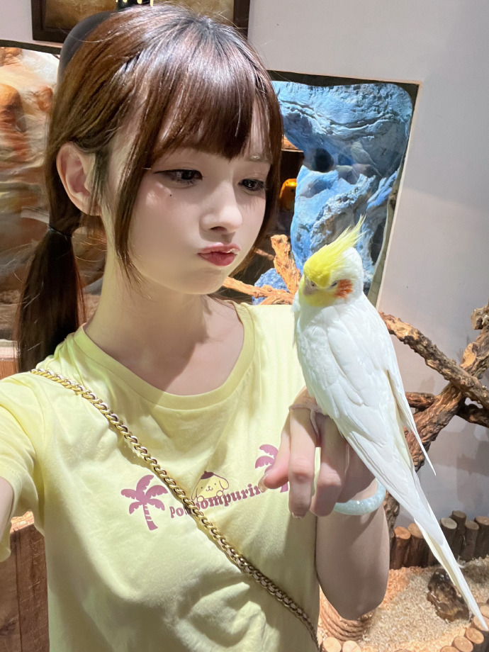 九品芝麻官